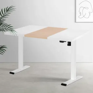 120cm Standing Desk Motorised Sit Stand Desks - White & Pine