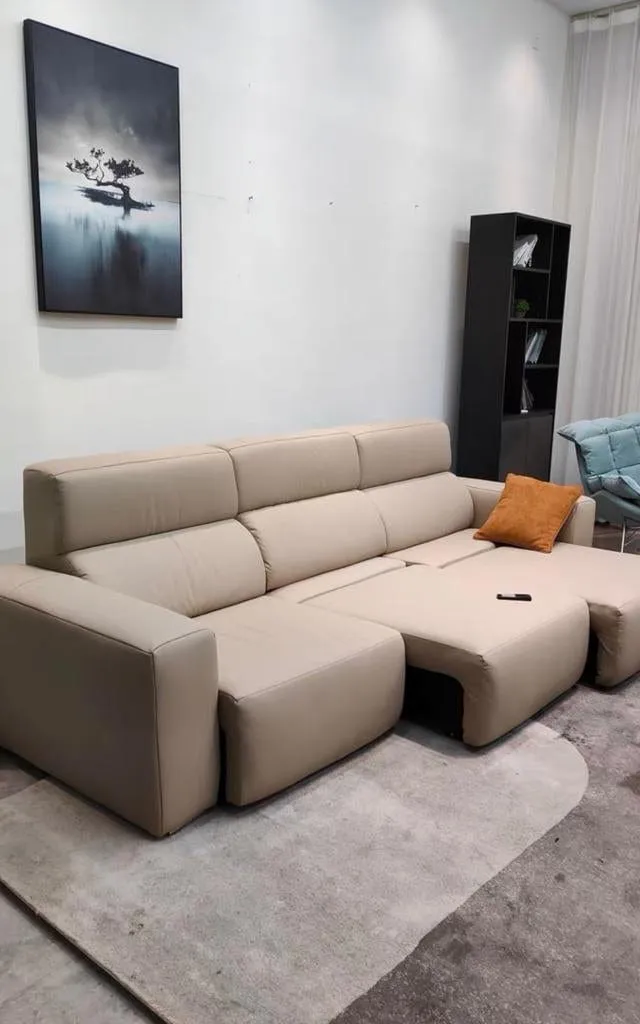 Eron Scratch Resistant Electric Sofa Bed