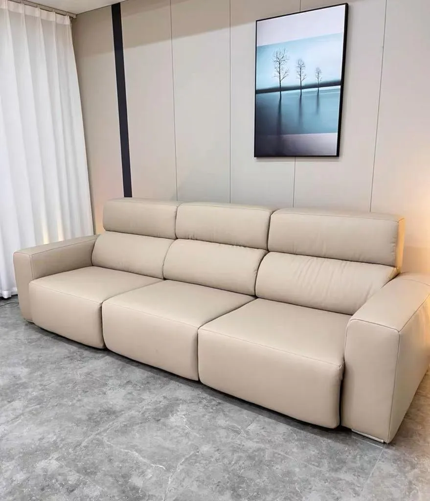 Eron Scratch Resistant Electric Sofa Bed