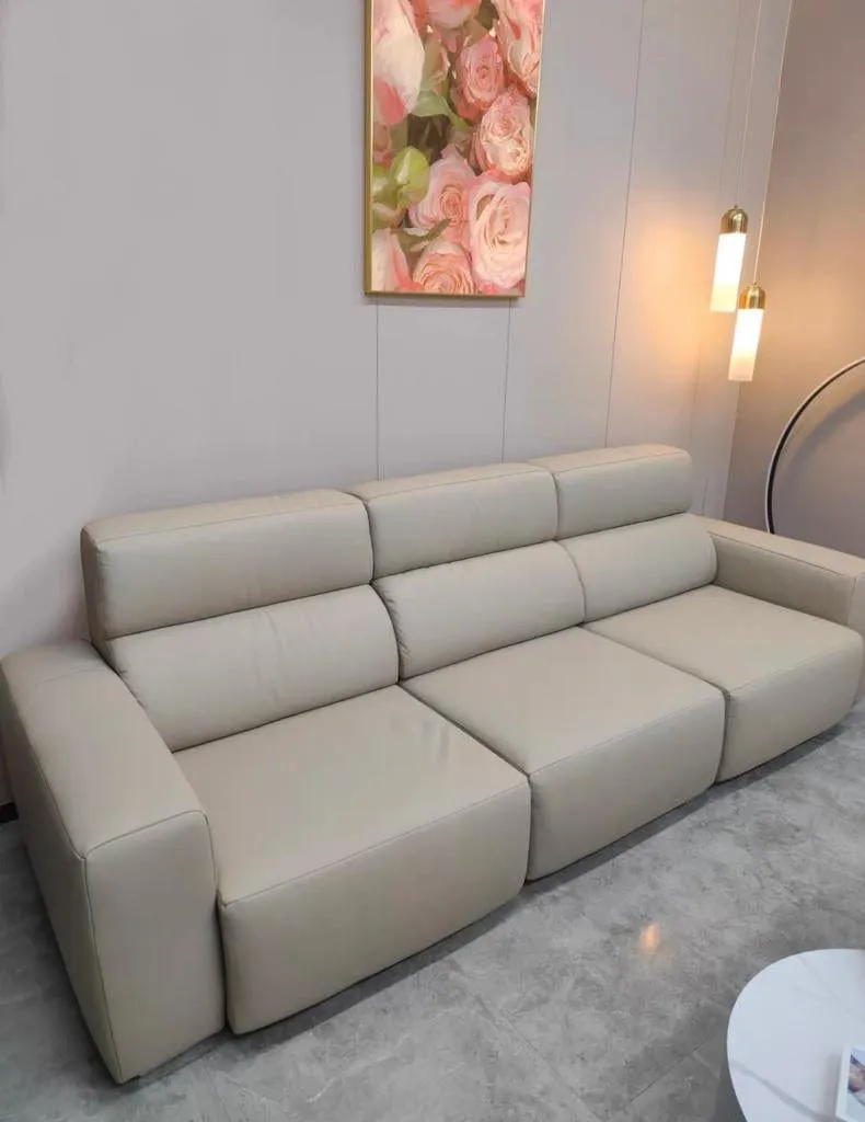 Eron Scratch Resistant Electric Sofa Bed