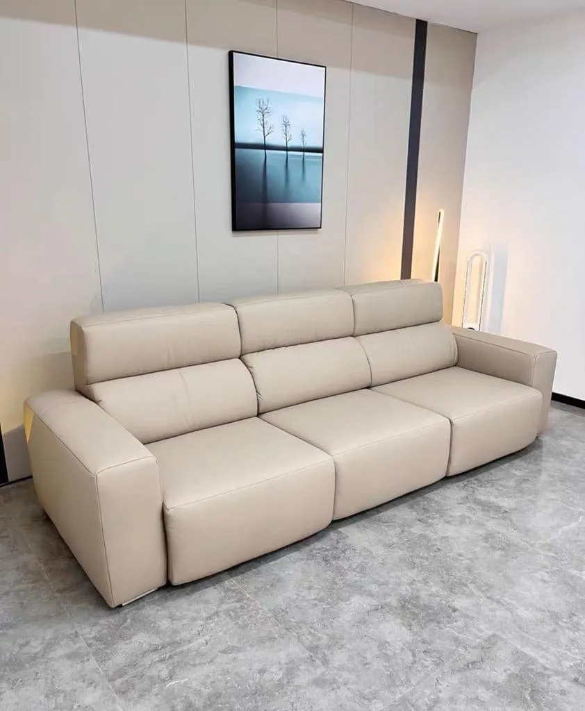 Eron Scratch Resistant Electric Sofa Bed