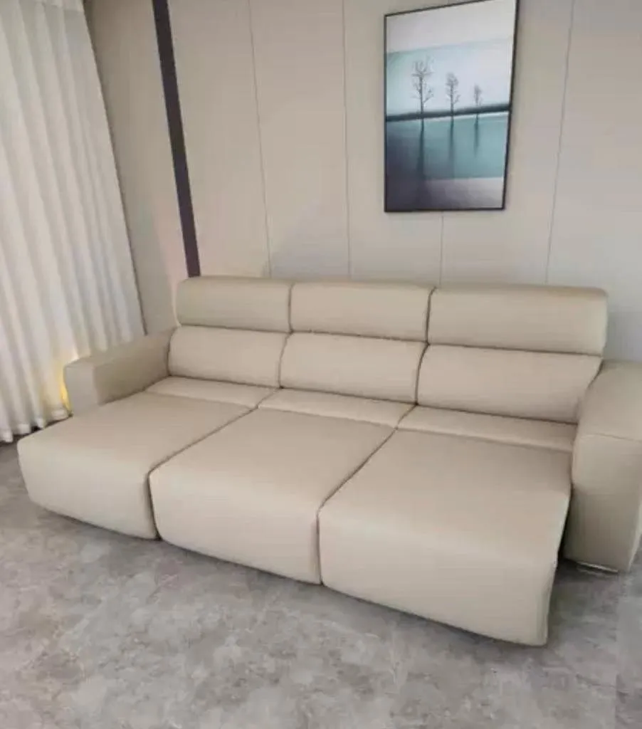 Eron Scratch Resistant Electric Sofa Bed