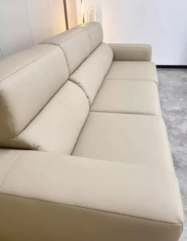 Eron Scratch Resistant Electric Sofa Bed