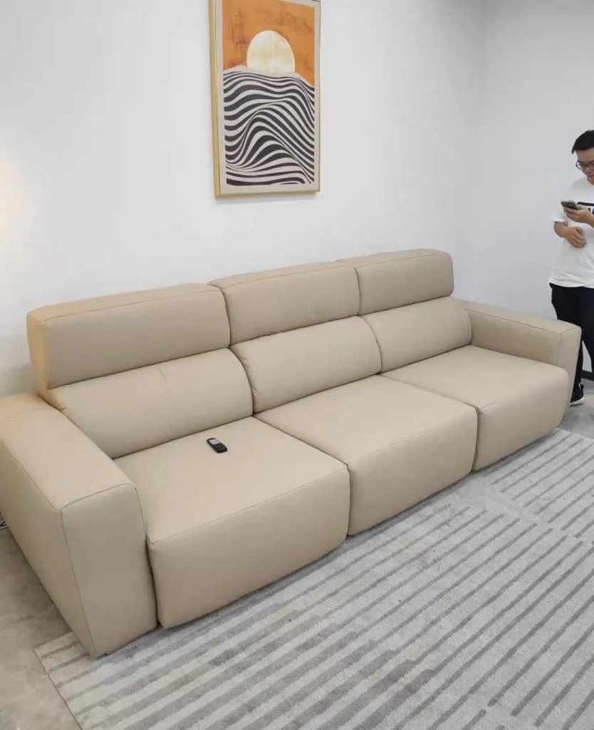 Eron Scratch Resistant Electric Sofa Bed