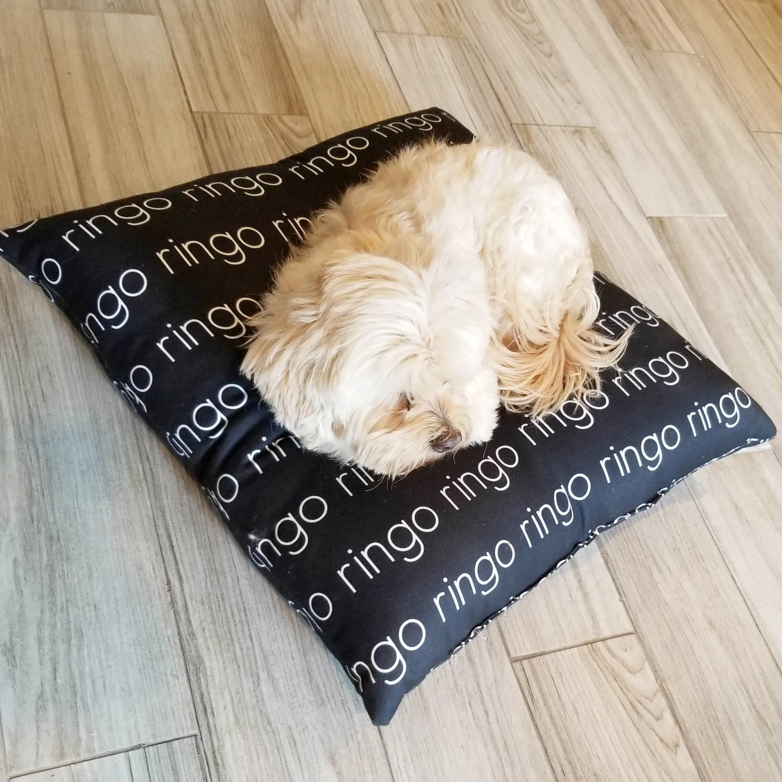 MODERN PERSONALIZED DOG BED / PET BED - LIGHT FONT