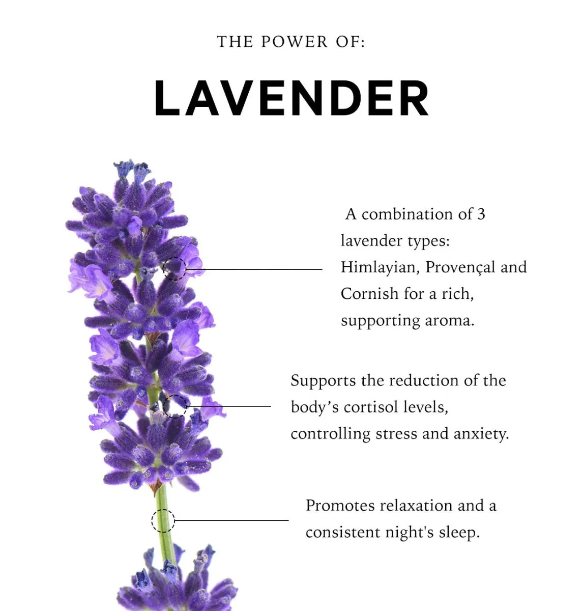 The Gift of Good Sleep Cornish Lavender